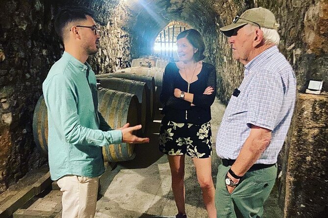 Olive Oil and Winery Tour from Zaragoza City - Practical details before you reserve