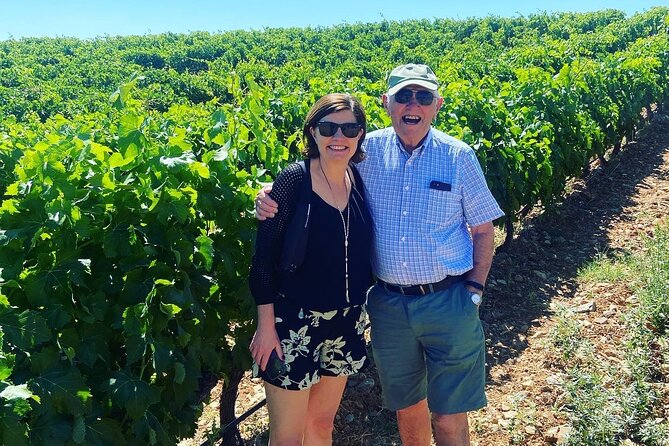Olive Oil and Winery Tour from Zaragoza City - Molino Alfonso and the character of Aragón olive oil