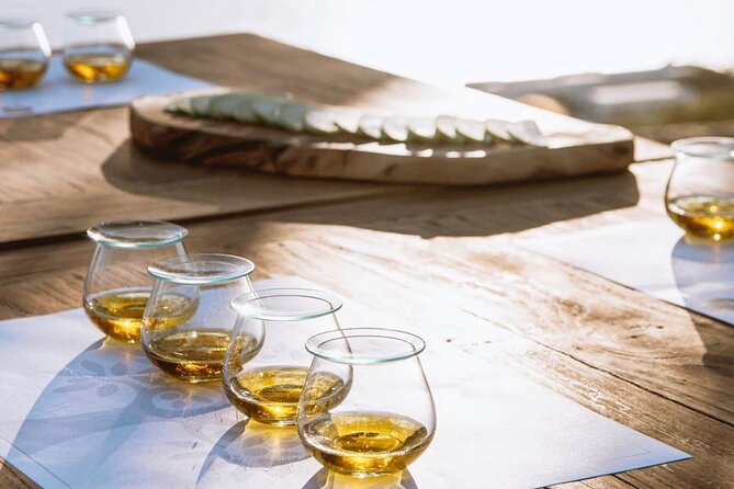Olive Oil, Cheese, and Wine Tasting with Local Expert - Key points to know before you book