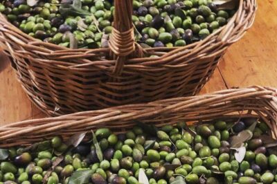 Olive Oil, Cheese, and Wine Tasting with Local Expert