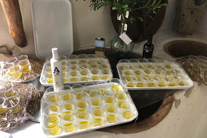 Olive Oil Excursion to an olive mill in the Lecrín Valley - A welcome break from Granada