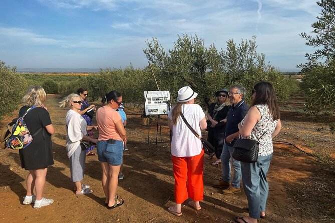 Olive Oil Factory from Seville Private Tour - Why Basilippo makes a good Seville side trip
