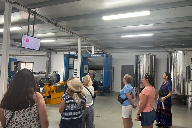 Olive Oil Factory from Seville Private Tour - The 40-minute journey out of Seville