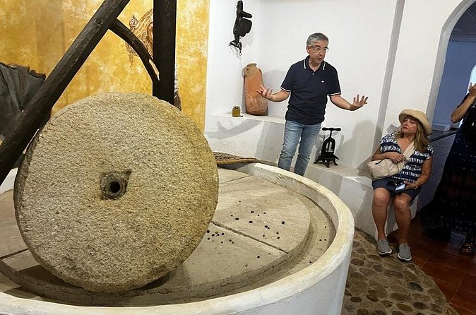 Olive Oil Factory from Seville Private Tour - Practical details to settle before booking