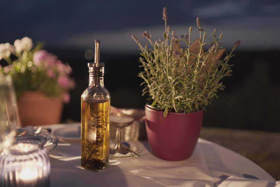 Olive Oil Factory + Wineries + Full Asado Lunch (Full Day) - A wine lesson at CarinaE