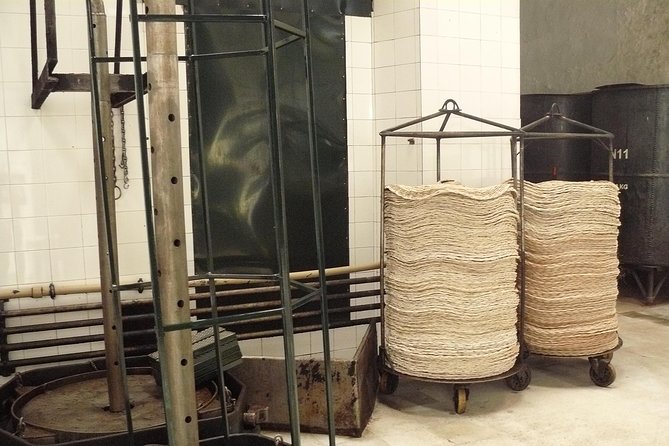 Olive Oil Farm Tour with Tasting from Seville - Why olive oil makes a good Seville day trip