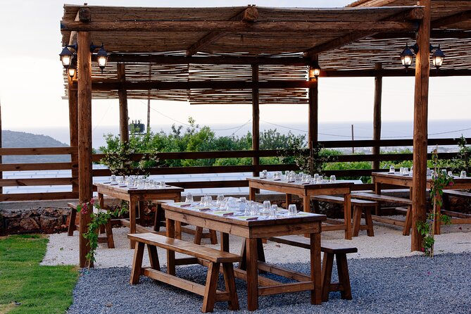 Olive Oil Festival in Cretan Farm with Traditional Dinner - Four workshops that explain more than a bottle label