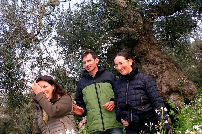 Olive Oil Mill experience and tasting in Salento with Guide - The location and timing in your Puglia plans