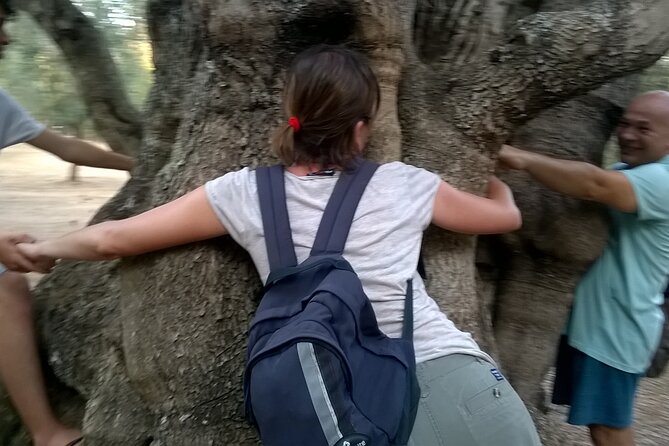 Olive Oil Mill experience and tasting in Salento with Guide - Seeing how olive oil is produced
