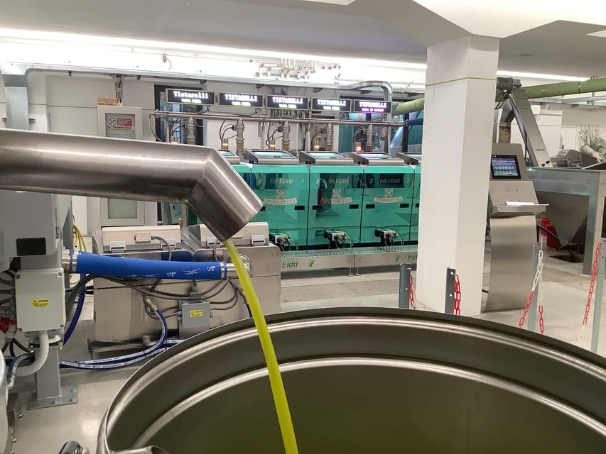 Olive Oil Mill Tour & EVO Oils Tasting - Sarteano, Tuscany - What happens during the 45-minute visit