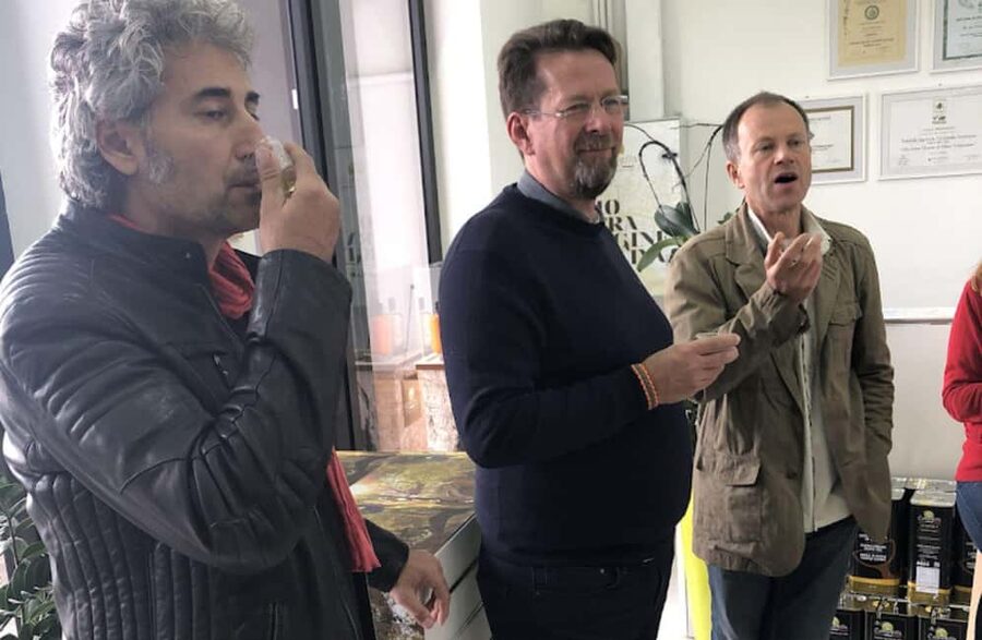 Olive Oil Mill Tour with Tasting near Molfetta & Bari - Why the Harvest Season Can Change the Experience