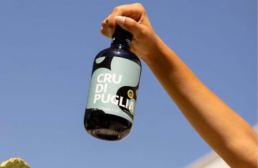 Olive Oil Mill Tour with Tasting near Molfetta & Bari - Is $42 a Good Value?