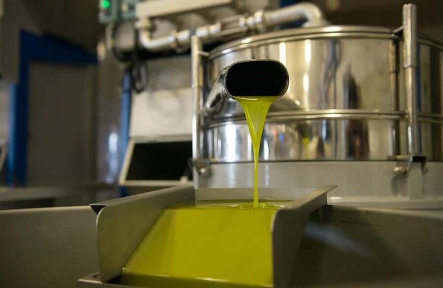 Olive Oil Mill Tour with Tasting near Molfetta & Bari - A Practical Plan for Your Visit