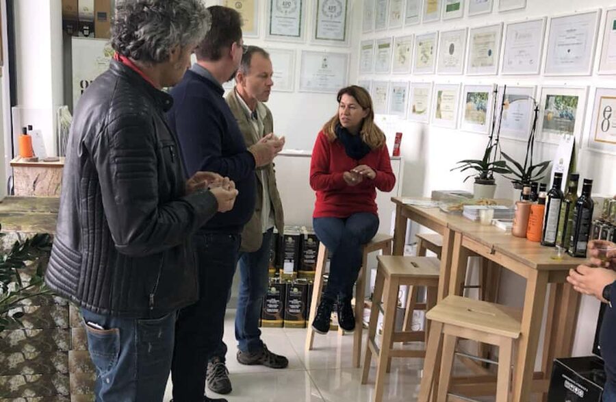 Olive Oil Mill Tour with Tasting near Molfetta & Bari - Following Olives From Harvest to Bottle