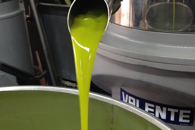 Olive Oil Private Full-Day Tour with Tasting in Valencia - From Valencia to Spain’s ancient olive country