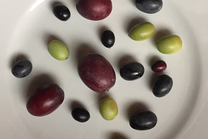 Olive Oil Private Full-Day Tour with Tasting in Valencia - Why the 1606 mill matters