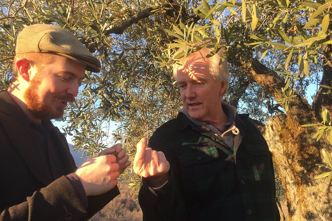 Olive Oil Private Full-Day Tour with Tasting in Valencia - Is the $162.06 price a good deal?