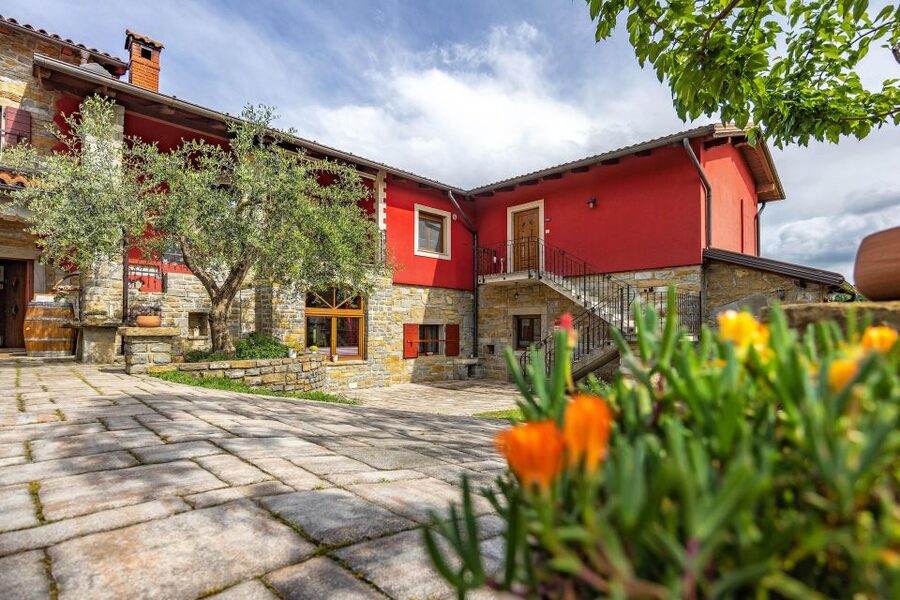 Olive Oil Tasting a Journey of Flavors and Aromas - The small farm shop at Red Fairytale