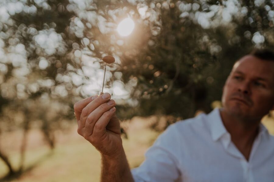 Olive Oil Tasting a Journey of Flavors and Aromas - Languages, timing, and age limits