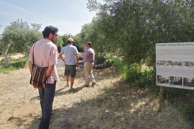 Olive Oil Tasting and Culinary Day Trip in Carmona - Carmona’s old streets and six quick stops