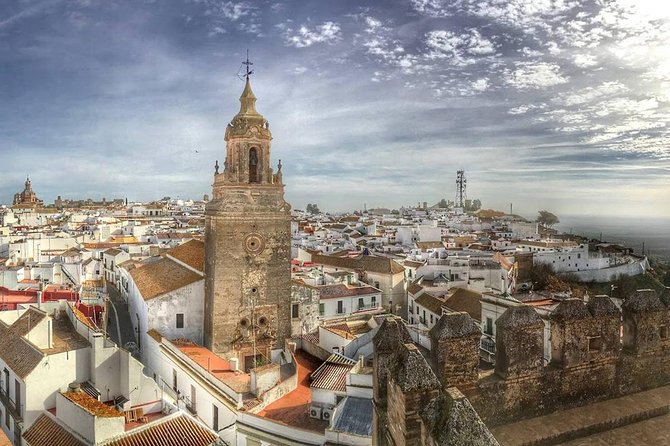 Olive Oil Tasting and Culinary Day Trip in Carmona - Booking details worth checking