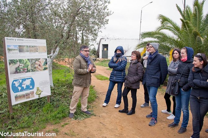 Olive Oil Tasting and Culinary Day Trip in Carmona - At Basilippo, the olive oil takes center stage