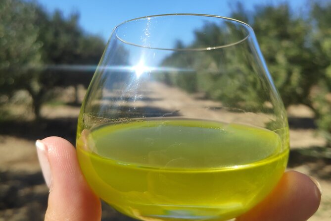Olive Oil Tasting at the Mykonian Farm - What Makes This Mykonos Tasting Different