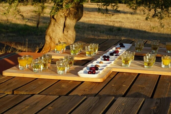 Olive Oil Tasting at the Mykonian Farm - Food, Wine, and the Farm Host