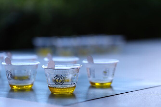Olive Oil Tasting at the Mykonian Farm - Who Will Enjoy This Most?