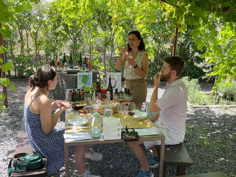 Olive Oil Tasting Experience in Nicolosi - The 45-minute walk through vines and olive trees