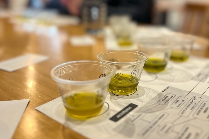 Olive Oil Tasting Experience in Sevilla - What the Seville olive oil tasting actually teaches you