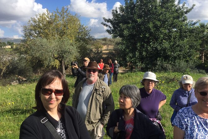 Olive Oil Tasting & Historic Olive Mill Tour in Ragusa area - A broad tasting menu, from basil to white truffle