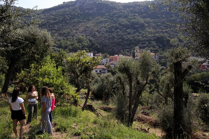 Olive oil tasting in Sorrento - The terrace view and optional wine tasting