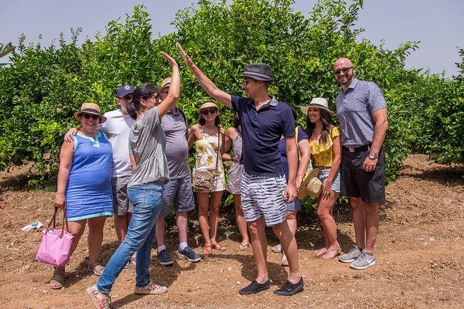 Olive oil tasting in Syracuse, Sicily - Evoo Tour - Bread, seasonal foods, and the value of pairing