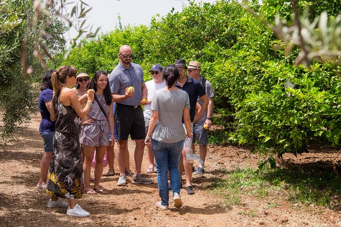 Olive oil tasting in Syracuse, Sicily - Evoo Tour - The guides and the family feel