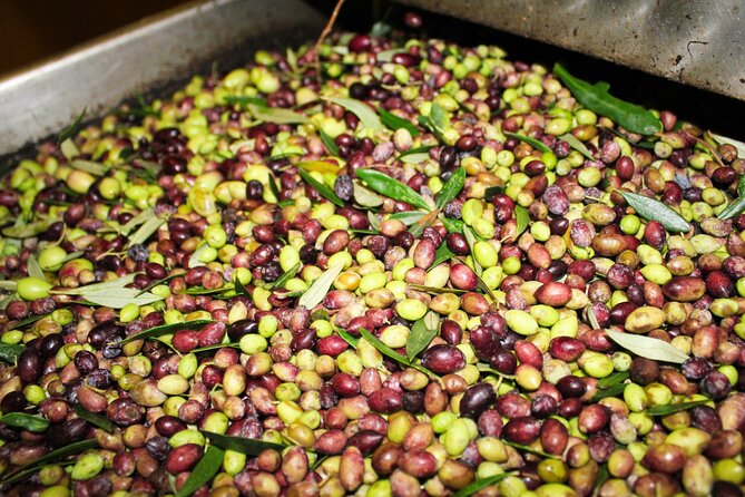 Olive Oil Tasting & Private Chef with Lunch - Who should book this experience?