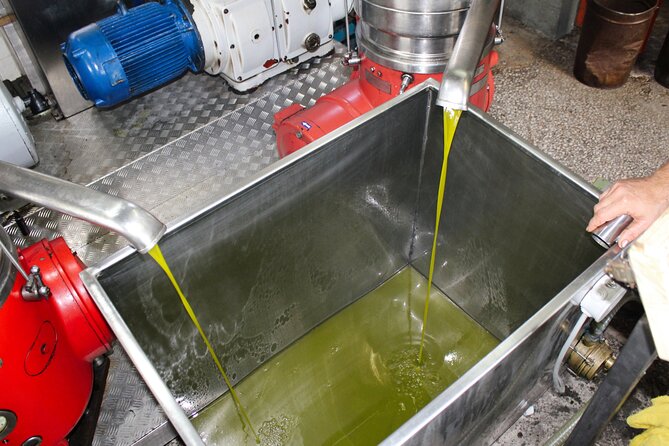 Olive Oil Tasting & Private Chef with Lunch - Tasting local and flavored olive oils
