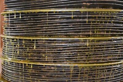 Olive Oil Tasting Tour