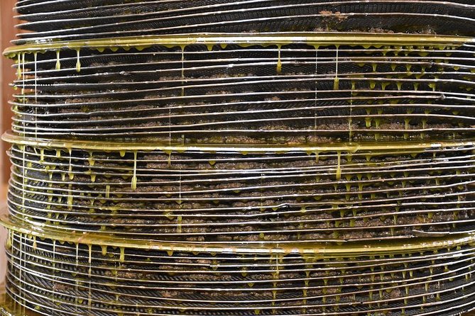 Olive Oil Tasting Tour - Starting among the olive trees in Epano Archanes