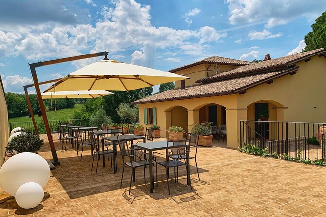 Olive Oil tasting with Olive Mill Tour in Umbria. - Key points to know before you book