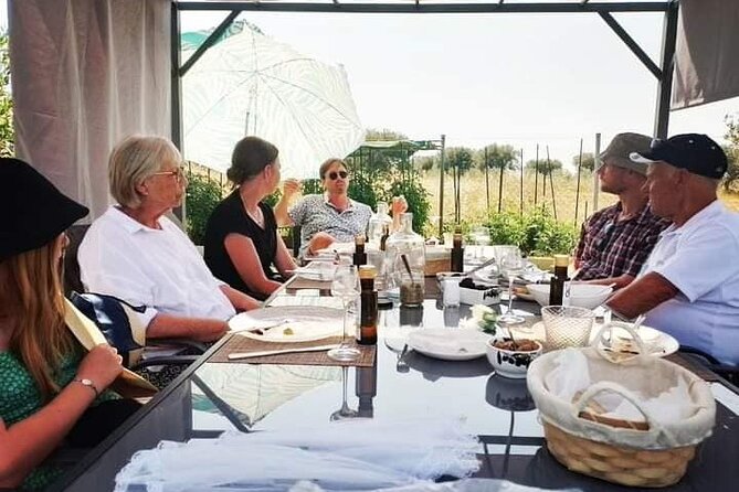 Olive oil tasting with seminar in Metagitsi - Halkidiki - Key points to know before booking