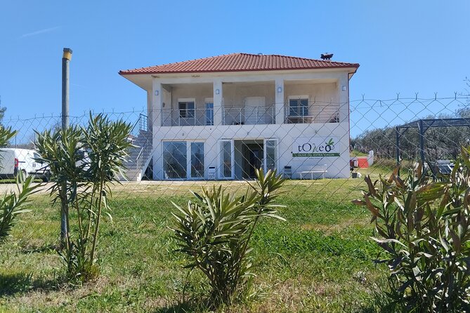 Olive oil tasting with seminar in Metagitsi - Halkidiki - Why this Metagkitsi olive oil experience is different