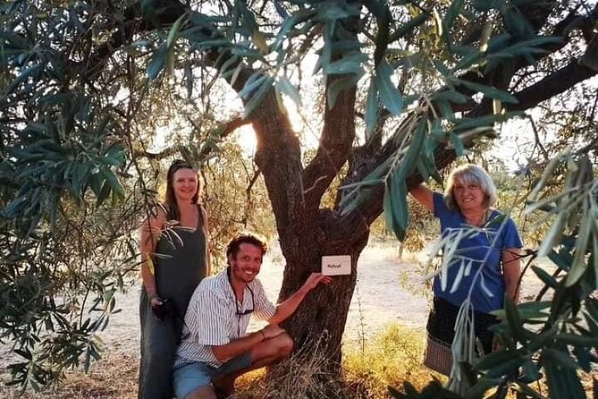 Olive oil tasting with seminar in Metagitsi - Halkidiki - Walking through the olive groves