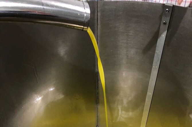 Olive Oil Tour and Tasting in Málaga - Who will enjoy BoriBel most