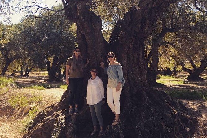 Olive Oil Tour and Visit to Belchite Old Town - Why this Zaragoza outing is different