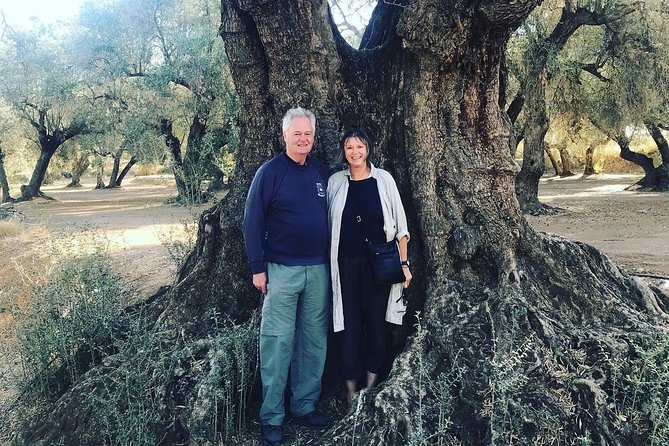 Olive Oil Tour and Visit to Belchite Old Town - Molino Alfonso and the taste of Bajo Aragón