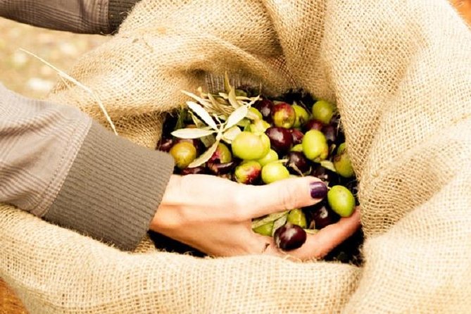 Olive Oil Tour close to Nafplio - Booking, timing, and cancellation details