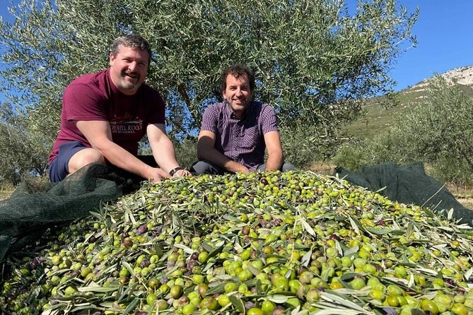 Olive Oil Tour & Tasting with sommelier -Kalentzi, Athens daytrip - Should you book the Kalentzi olive oil tasting?