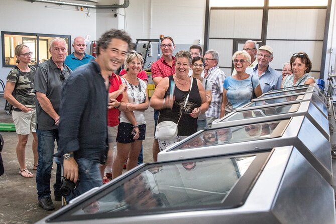 Olive Oil Tour Visit to the oil mill and olive oil tasting - Should you book Terra Surti?