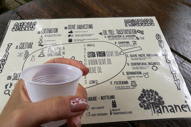 Olive Oil tour with Tuscan dinner - A walk through the olive grove